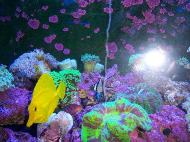 Name:  100_4888.jpg
Views: 515
Size:  54.3 KB