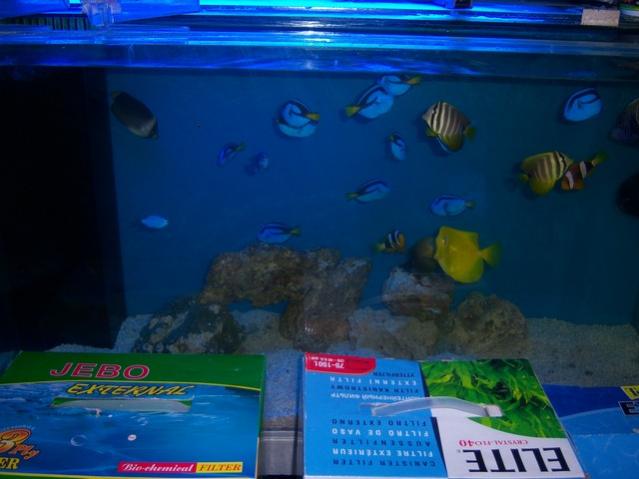 Name:  100_4890.jpg
Views: 474
Size:  35.6 KB