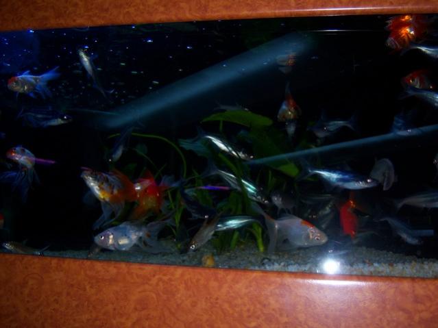 Name:  100_4896.jpg
Views: 232
Size:  31.9 KB