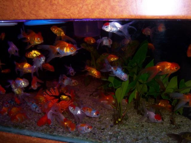 Name:  100_4897.jpg
Views: 248
Size:  39.6 KB
