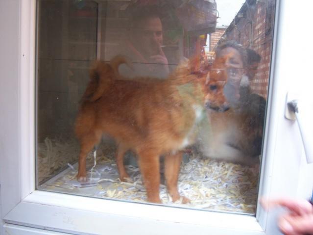Name:  100_4905.jpg
Views: 253
Size:  29.4 KB