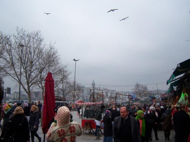 Name:  100_4938.jpg
Views: 292
Size:  38.2 KB