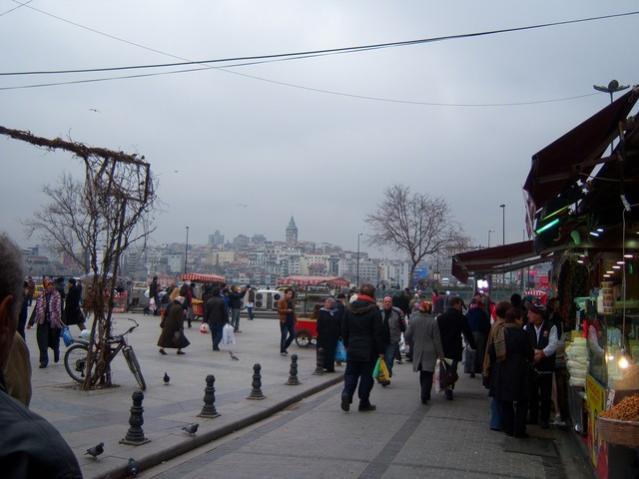 Name:  100_4940.jpg
Views: 304
Size:  39.6 KB