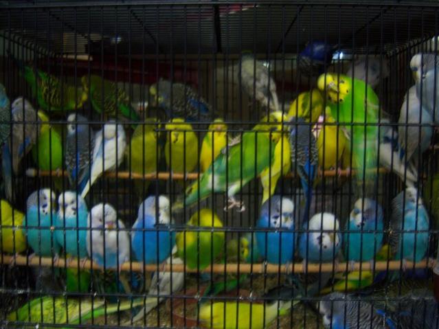 Name:  100_4951.jpg
Views: 292
Size:  48.7 KB
