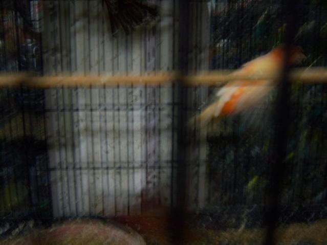 Name:  100_4952.jpg
Views: 346
Size:  28.5 KB