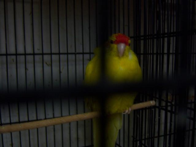 Name:  100_4953.jpg
Views: 309
Size:  23.2 KB
