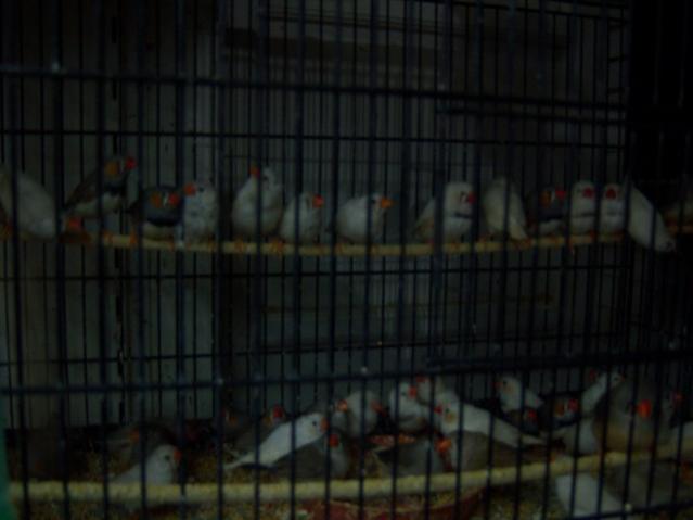 Name:  100_4955.jpg
Views: 313
Size:  27.6 KB