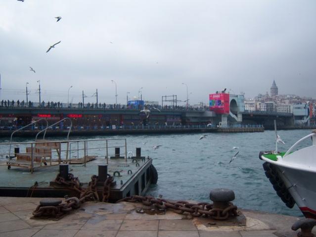 Name:  100_4961.jpg
Views: 388
Size:  34.5 KB