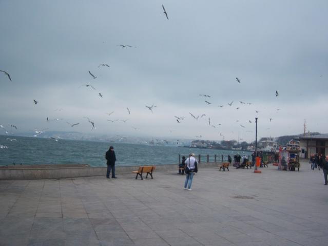 Name:  100_4966.jpg
Views: 358
Size:  22.0 KB