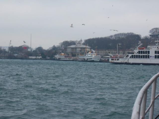Name:  100_4970.jpg
Views: 372
Size:  33.7 KB