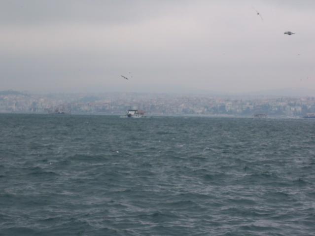 Name:  100_4971.jpg
Views: 364
Size:  24.4 KB