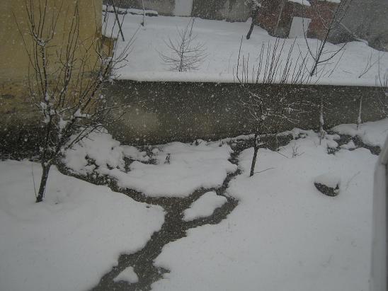 Name:  kar.JPG
Views: 964
Size:  48.3 KB