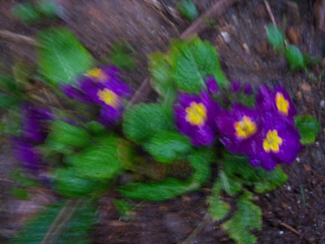 Name:  100_4988.jpg
Views: 358
Size:  39.6 KB