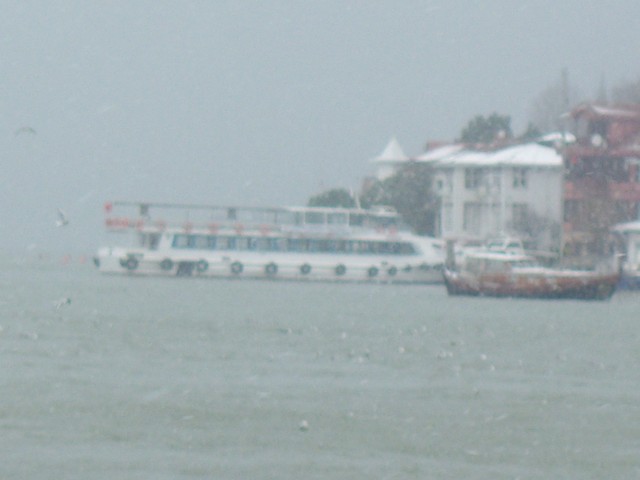 Name:  100_4994.jpg
Views: 346
Size:  65.3 KB