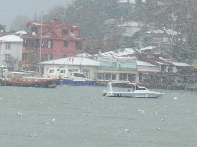Name:  100_4997.jpg
Views: 332
Size:  38.9 KB