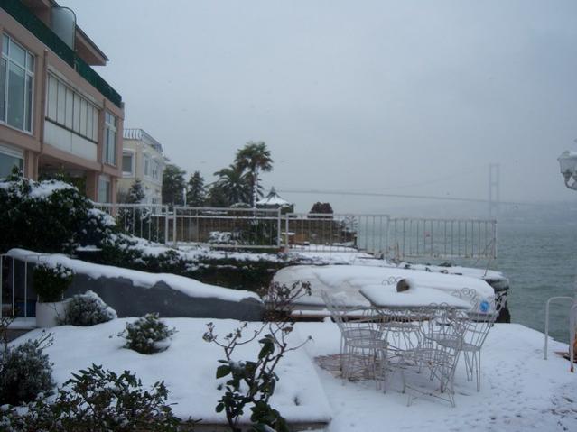 Name:  100_5023.jpg
Views: 434
Size:  40.5 KB