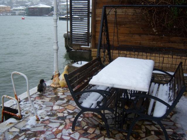 Name:  100_5024.jpg
Views: 418
Size:  53.5 KB