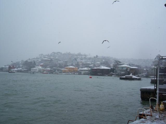 Name:  100_5026.jpg
Views: 418
Size:  26.4 KB