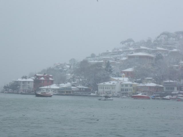 Name:  100_5027.jpg
Views: 406
Size:  22.2 KB