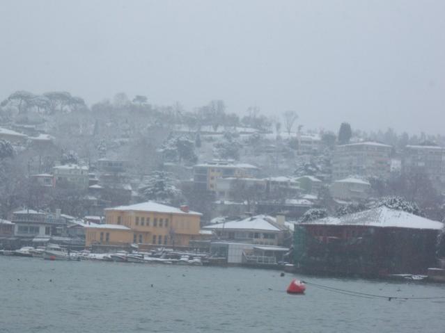 Name:  100_5032.jpg
Views: 443
Size:  26.3 KB