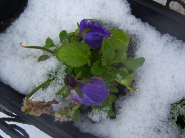Name:  100_5037.jpg
Views: 430
Size:  36.3 KB
