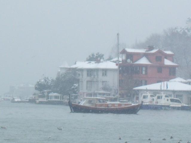 Name:  100_5039.jpg
Views: 376
Size:  21.8 KB