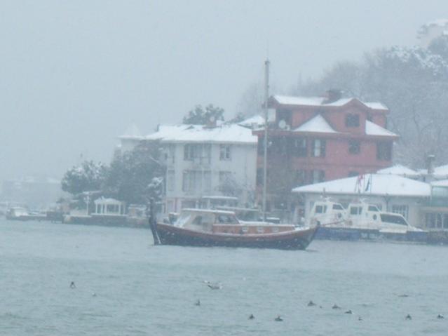 Name:  100_5040.jpg
Views: 442
Size:  23.1 KB