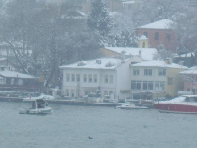 Name:  100_5041.jpg
Views: 422
Size:  28.1 KB
