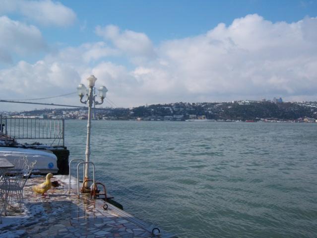 Name:  100_5044.jpg
Views: 428
Size:  38.3 KB