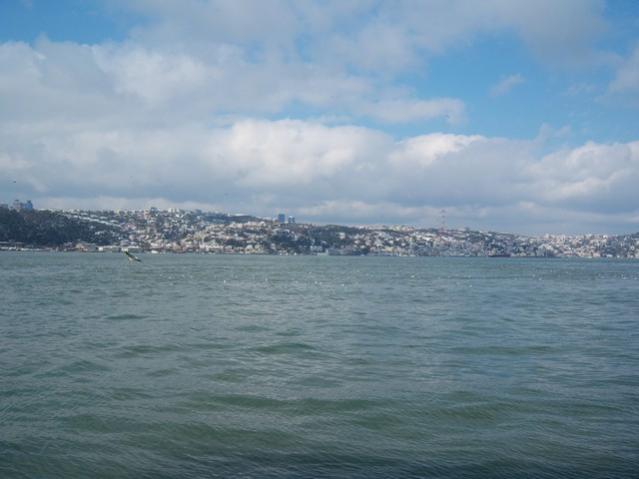 Name:  100_5045.jpg
Views: 420
Size:  31.8 KB