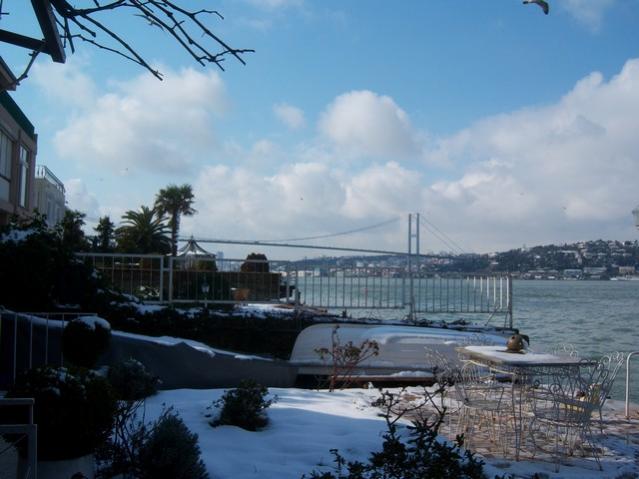 Name:  100_5048.jpg
Views: 366
Size:  41.0 KB