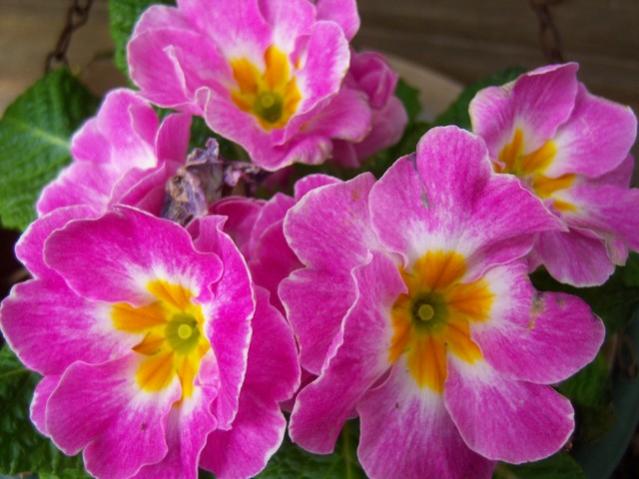 Name:  100_5063.jpg
Views: 446
Size:  44.8 KB