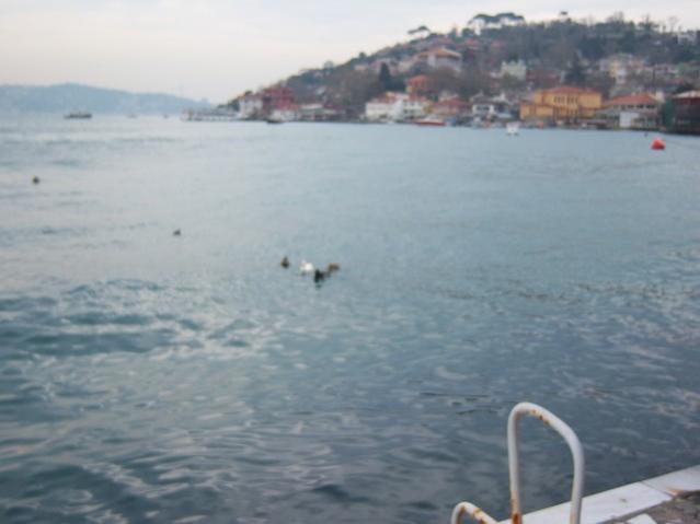 Name:  100_5069.jpg
Views: 388
Size:  27.8 KB