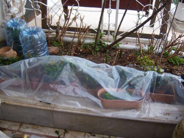 Name:  100_5079.jpg
Views: 384
Size:  56.2 KB