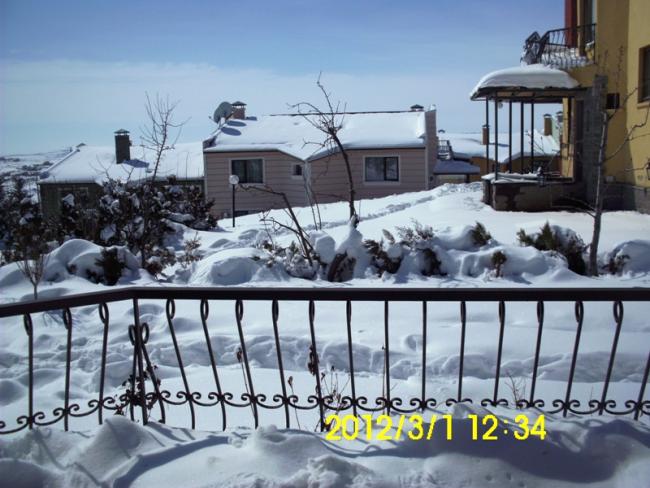 Name:  DSCI1576.jpg
Views: 778
Size:  55.0 KB