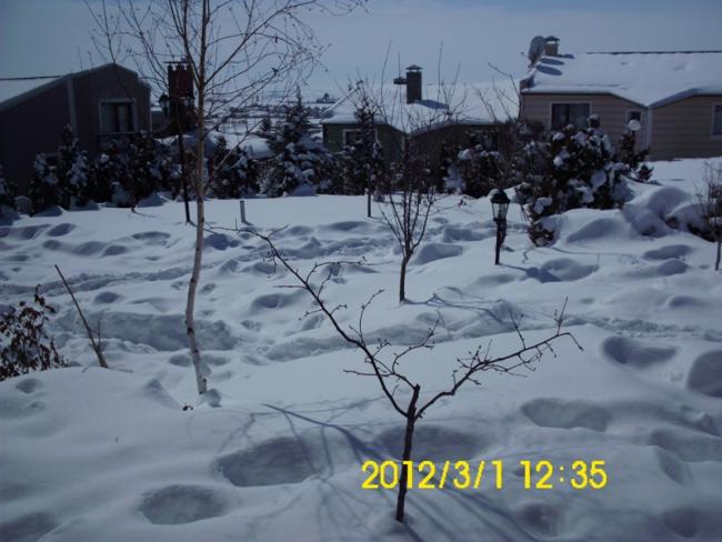 Name:  DSCI1578.jpg
Views: 752
Size:  46.1 KB