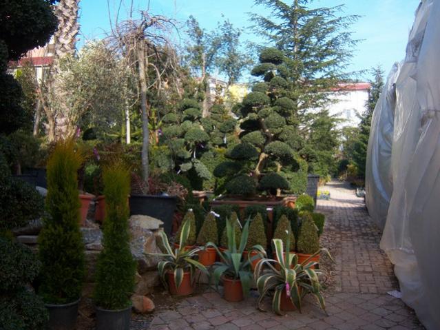Name:  100_5088.jpg
Views: 398
Size:  61.5 KB