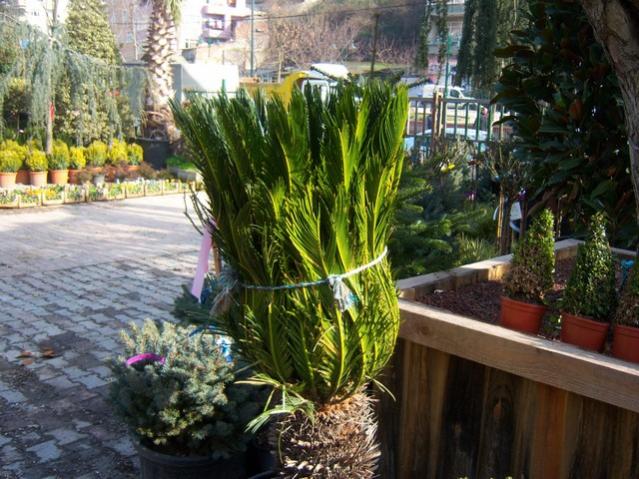 Name:  100_5090.jpg
Views: 413
Size:  67.8 KB