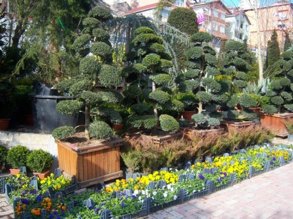 Name:  100_5091.jpg
Views: 423
Size:  72.3 KB