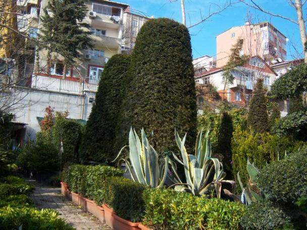 Name:  100_5094.jpg
Views: 439
Size:  71.0 KB
