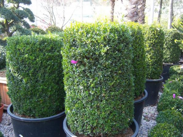 Name:  100_5097.jpg
Views: 693
Size:  72.4 KB