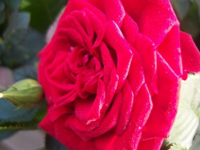 Name:  100_5128.jpg
Views: 401
Size:  32.6 KB