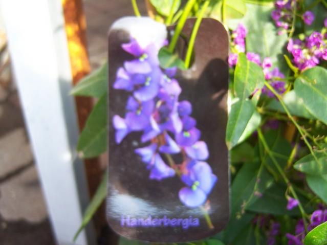 Name:  100_5143.jpg
Views: 397
Size:  35.3 KB