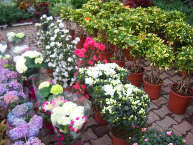 Name:  100_5146.jpg
Views: 426
Size:  62.5 KB