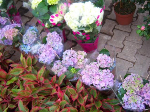 Name:  100_5148.jpg
Views: 389
Size:  53.2 KB