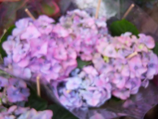 Name:  100_5149.jpg
Views: 406
Size:  31.5 KB