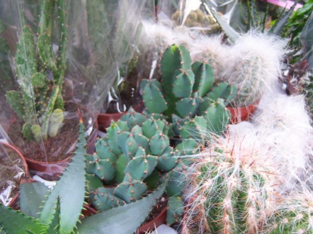Name:  100_5155.jpg
Views: 398
Size:  54.8 KB
