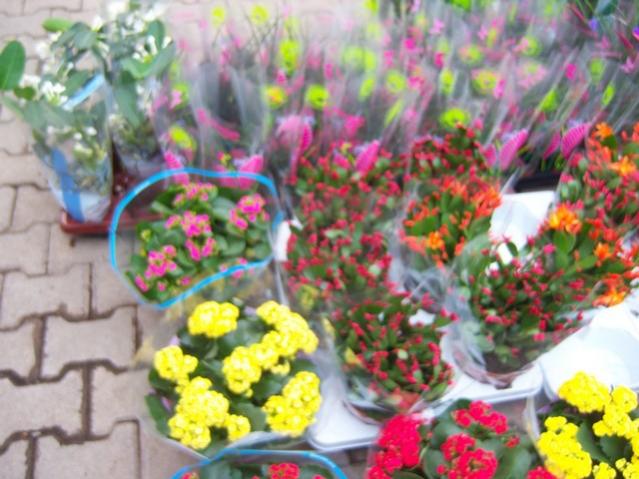 Name:  100_5165.jpg
Views: 404
Size:  52.3 KB