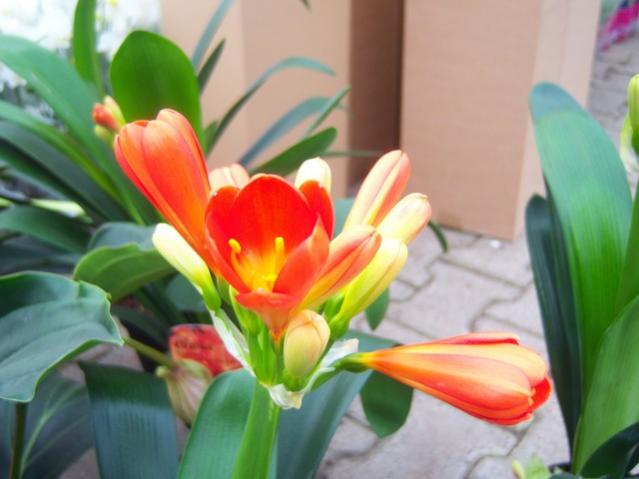 Name:  100_5169.jpg
Views: 384
Size:  35.0 KB
