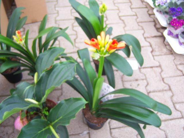 Name:  100_5170.jpg
Views: 380
Size:  40.3 KB